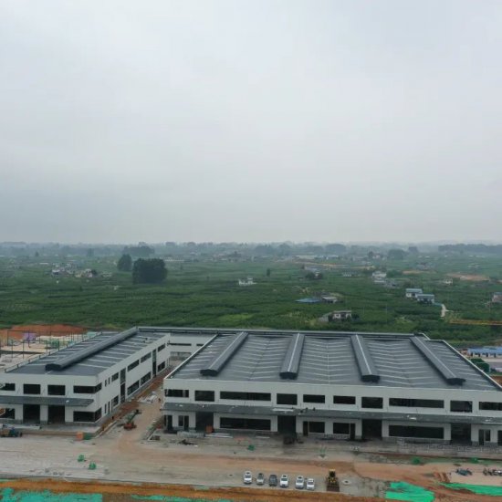 奋进新征程 建功新时代丨中国晚熟柑橘商贸物流园区建设现场